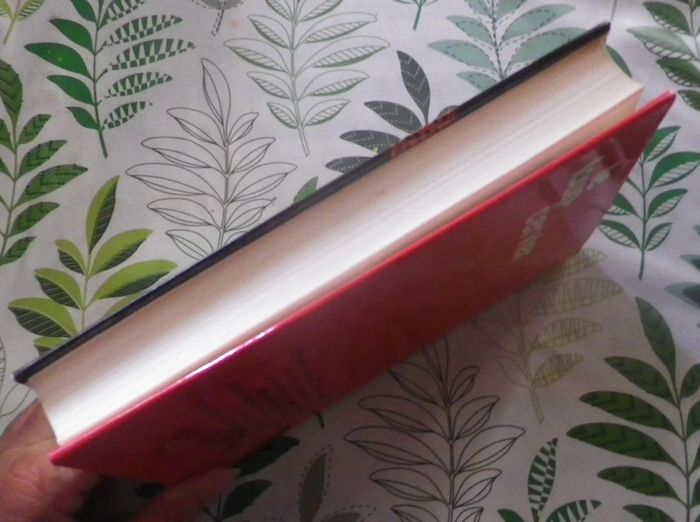 Le loup-cervier de Guy Croussy Ed. France Loisirs - photo numéro 4