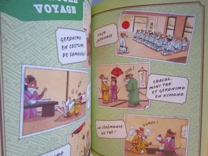 Le karaté, c'est pas pour les  rats - photo numéro 5