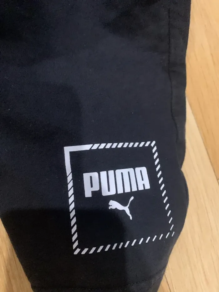 Short puma - photo numéro 6