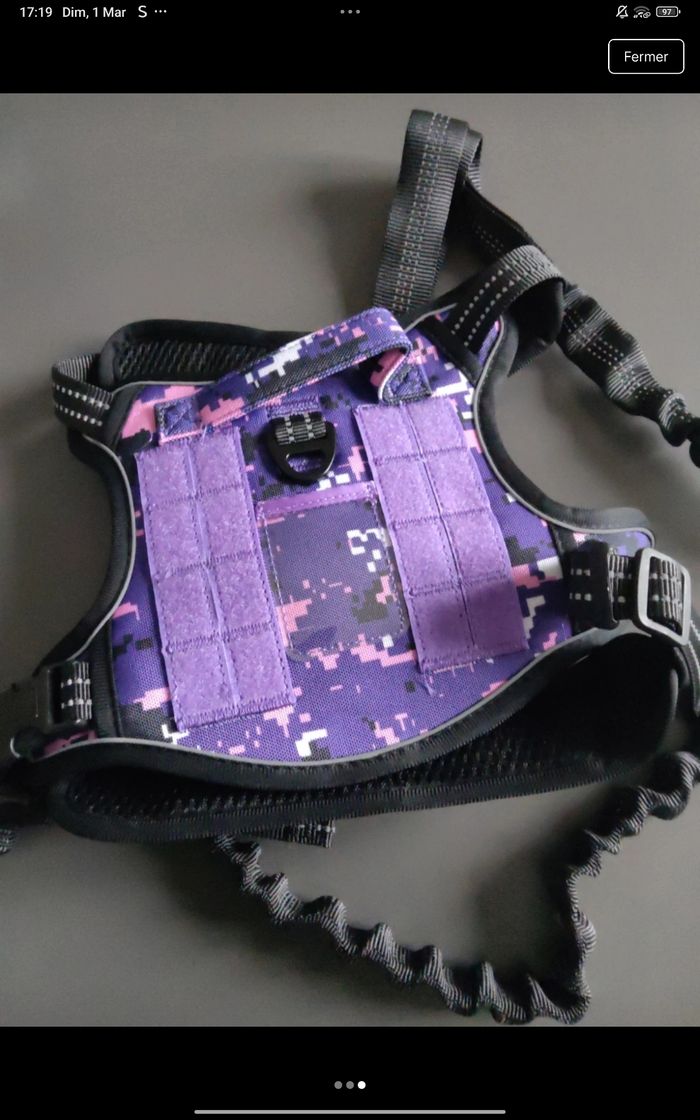 Laisse et harnais taille s mesure cou 35/53 poitrine 50/78 - photo numéro 3