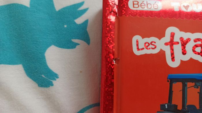 Lot livres Touche à tout - photo numéro 9