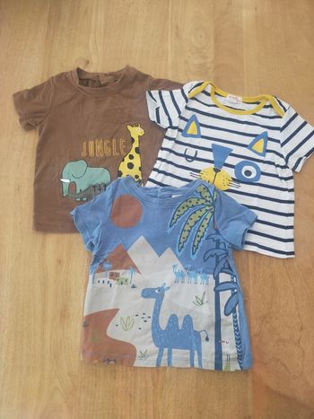 Lot de 3 t-shirts animaux 18 mois