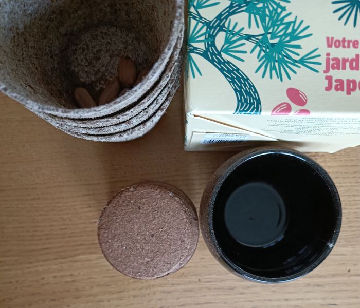 NEUF : Kit bonsaï à faire pousser Nature & Découverte - photo numéro 8