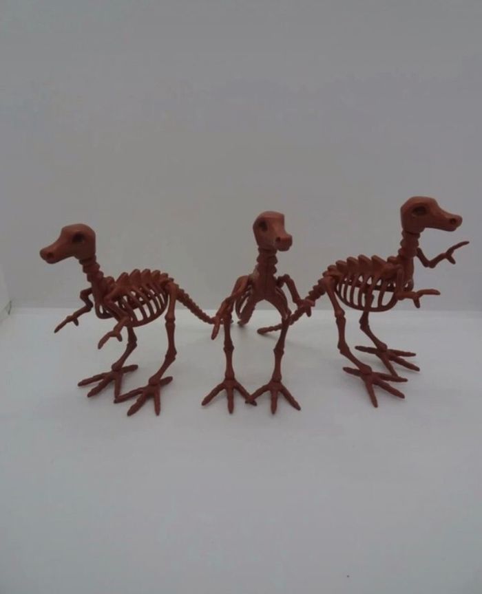 3 squelette dinosaure