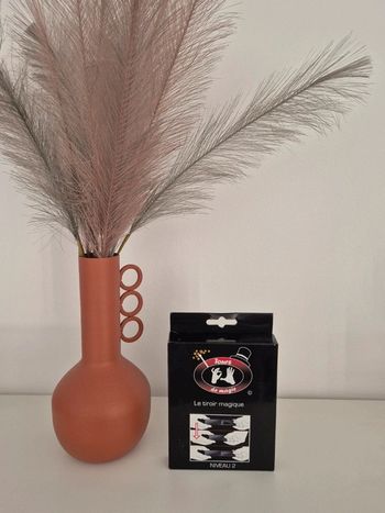 🎁 Jeu de magie : le tiroir magique