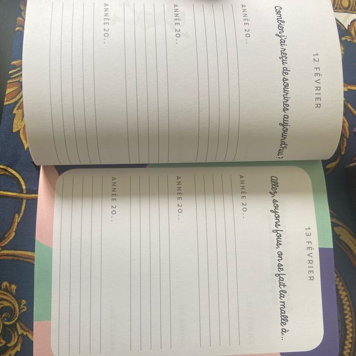 Journaling guidé sur 3 ans - photo numéro 3