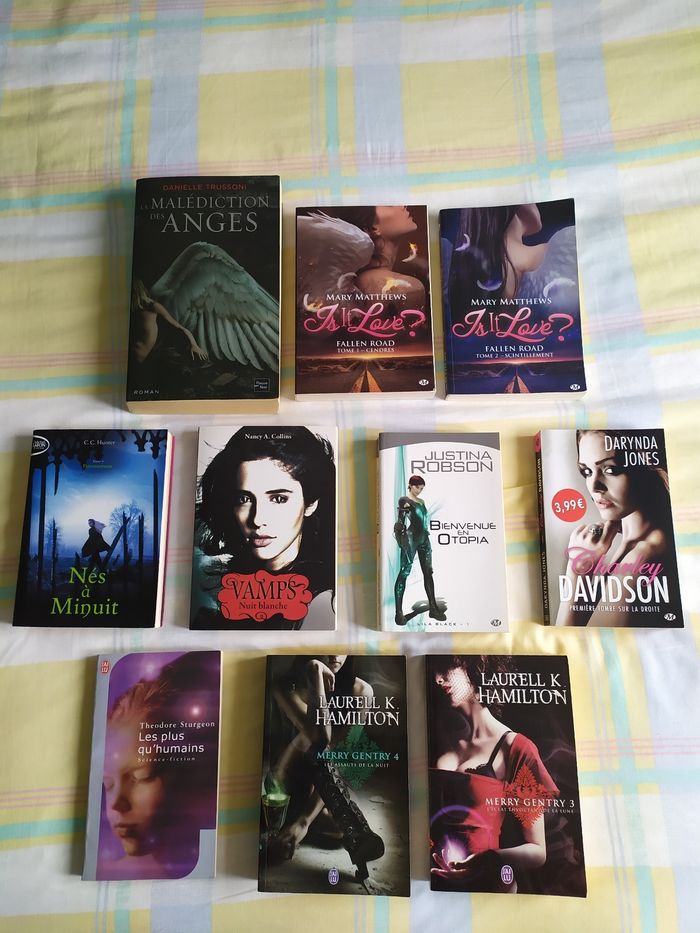 Lot de 10 romans fantastiques