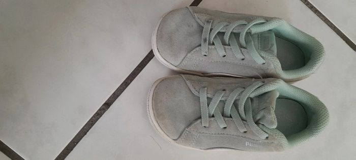 Puma vert d'eau - photo numéro 2