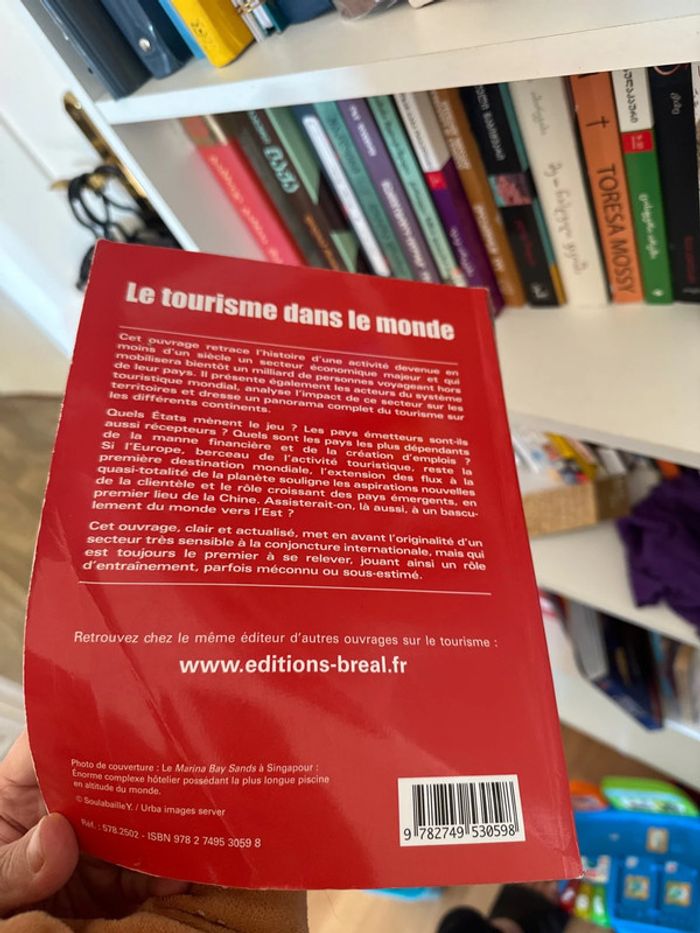 Le tourisme dans le monde - photo numéro 4