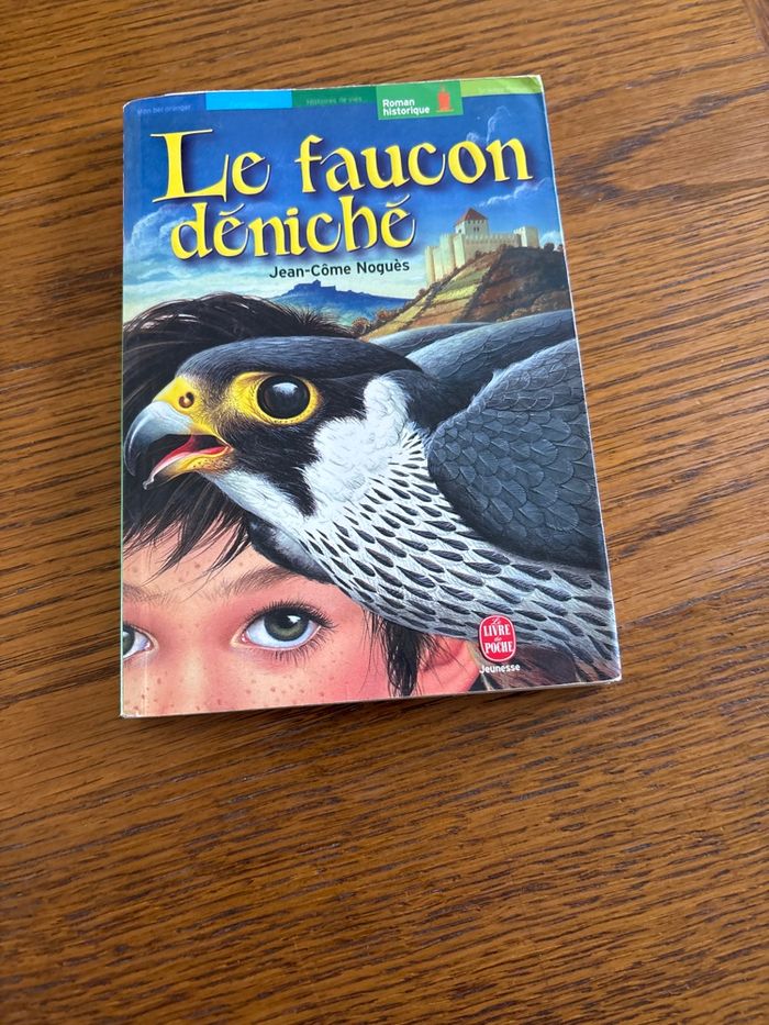 Le faucon déniché - photo numéro 1