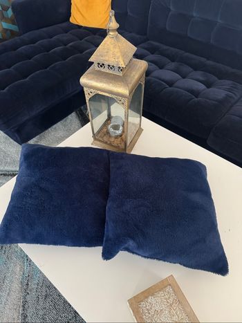 Lot  de 2 coussins bleus