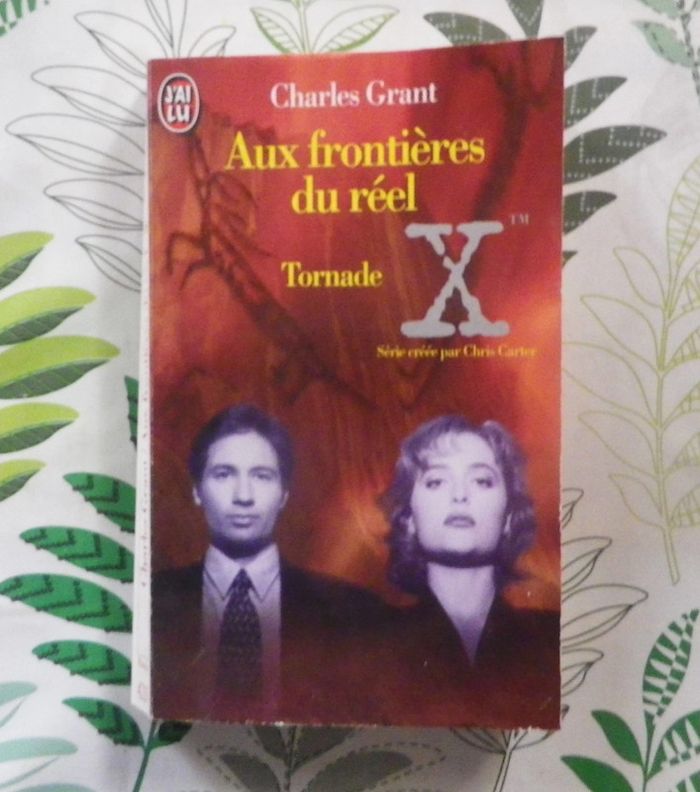 Aux frontières du réel T2 Tornade de Charles Grant Ed. J'ai Lu