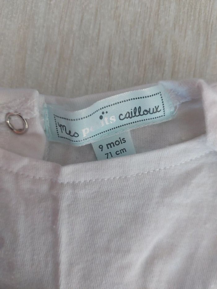 Combi short en 9 mois - photo numéro 2