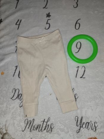 Legging