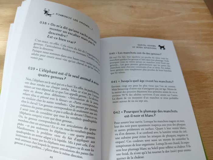 Pourquoi les vaches ne peuvent-elles pas descendre les escaliers ? - Neuf - photo numéro 3