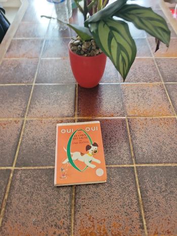 Oui Oui et le chien qui saute