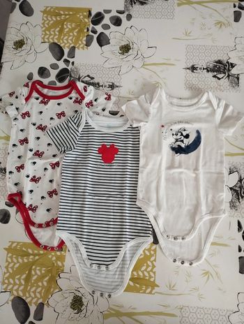 Lot 3 bodies orchestra