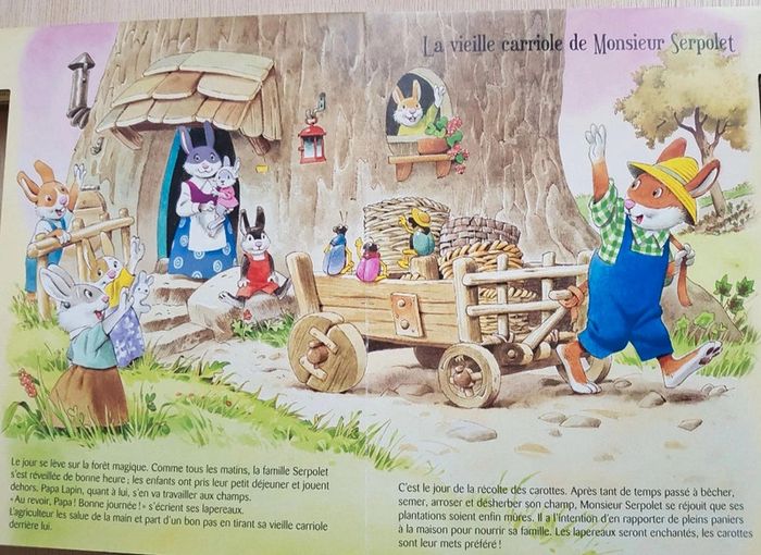 Livre Mes amis de la forêt magique avec figurines - photo numéro 9