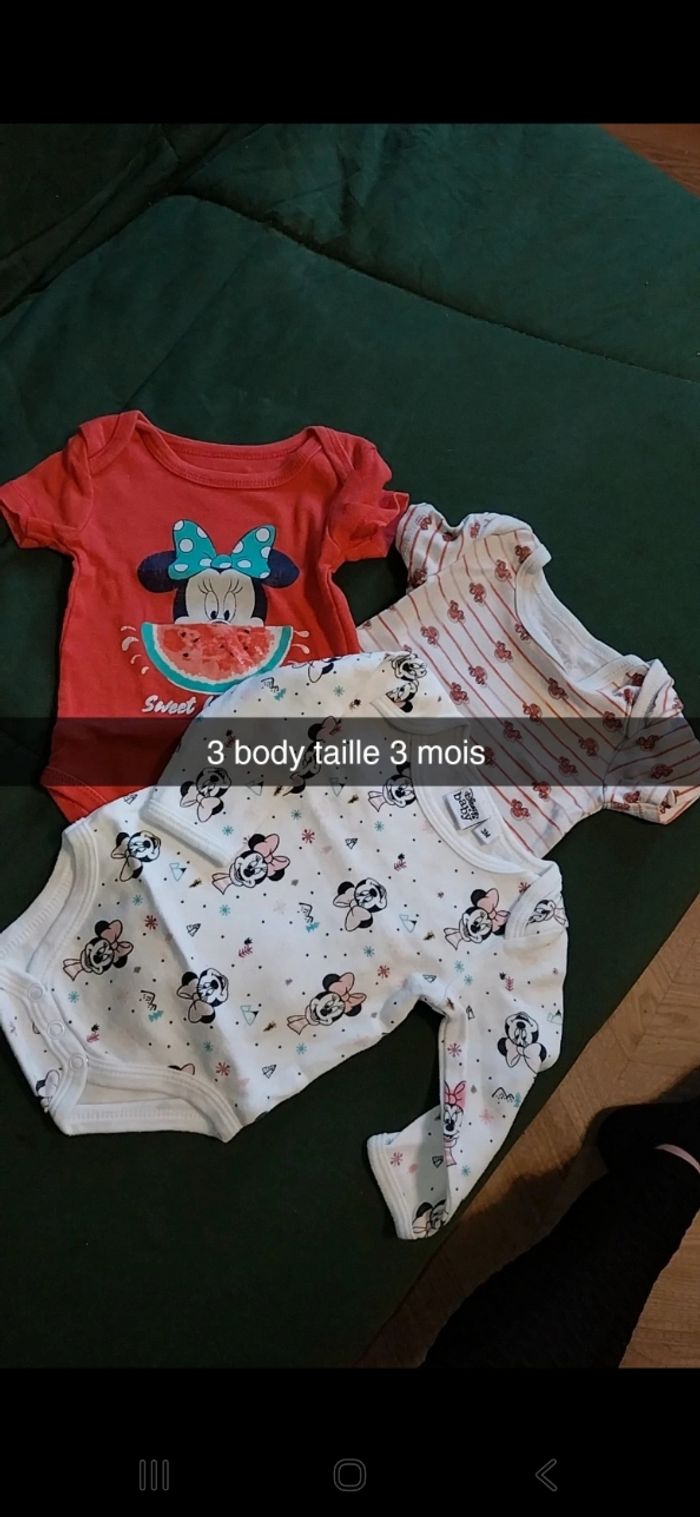 Lot bodies - photo numéro 3