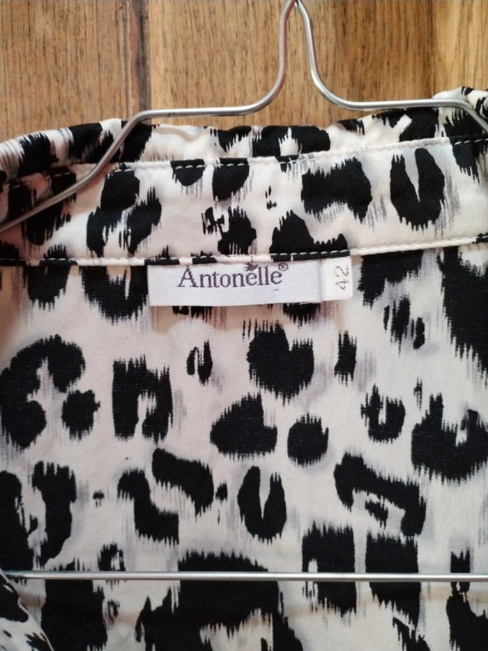 Belle chemise en soie - photo numéro 3