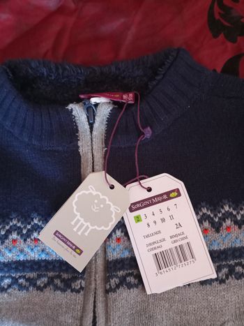 Magnifique gilet Sergent major