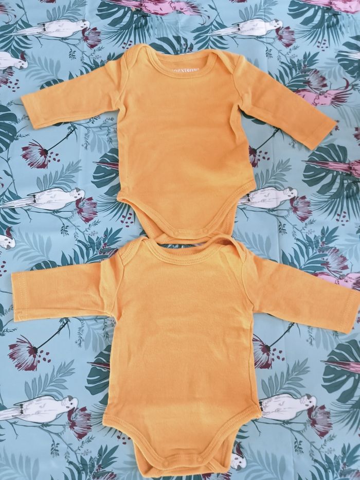 Lots 2bobys 1 mois inextenso - photo numéro 4