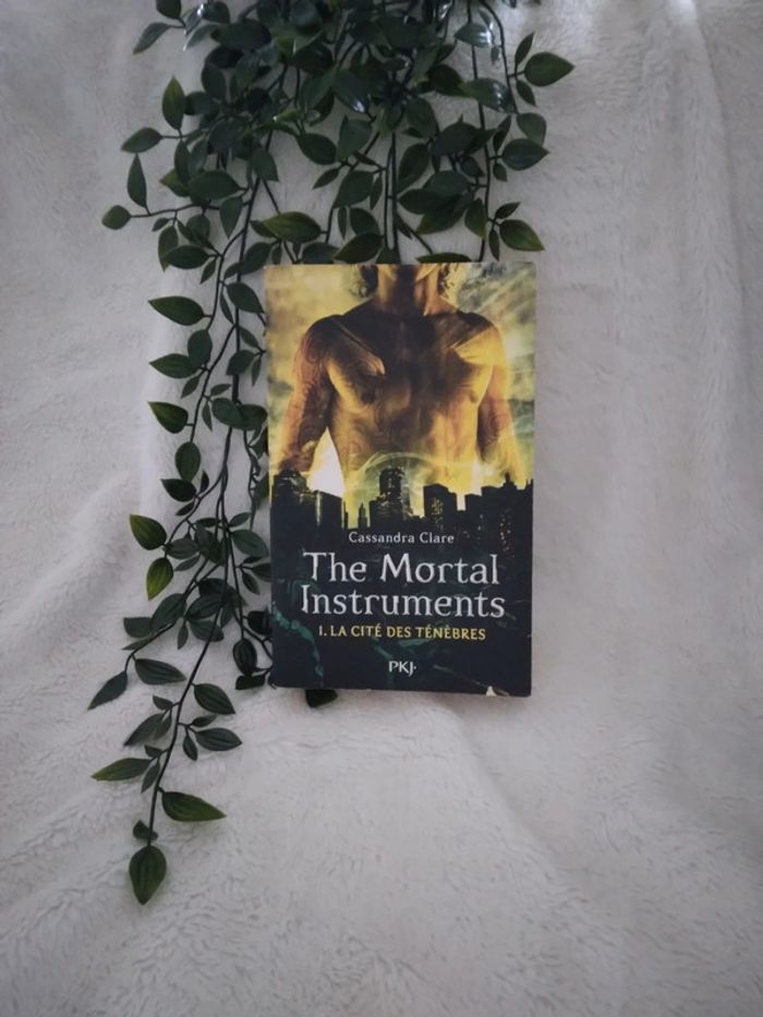 🌸Livre romance The mortal instrument 🌸