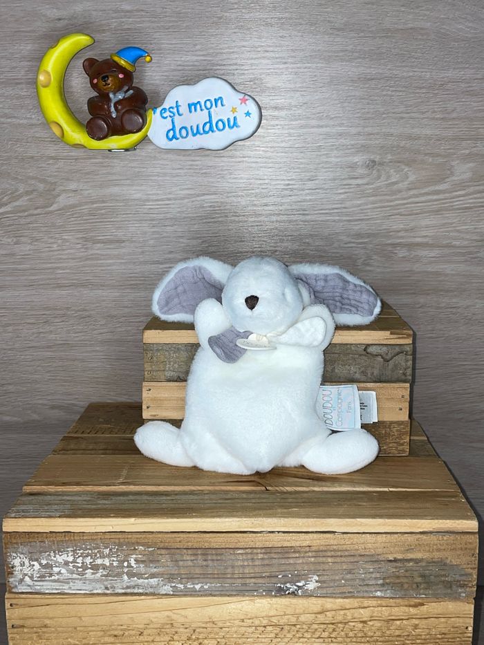 DDC514 doudou et compagnie lapin 🐰
