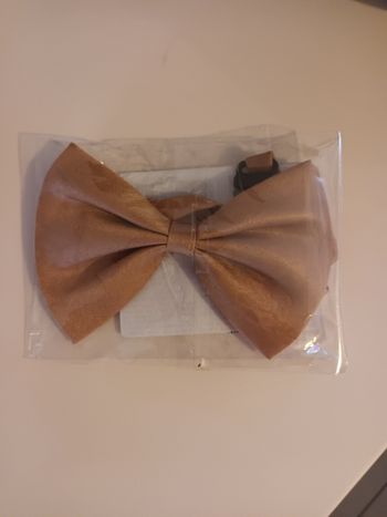 Nœud papillon