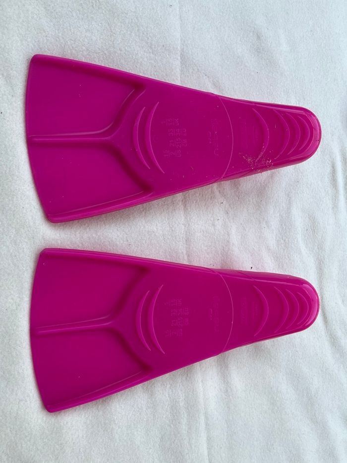 Palme 33 à 34 nabaiji - photo numéro 3