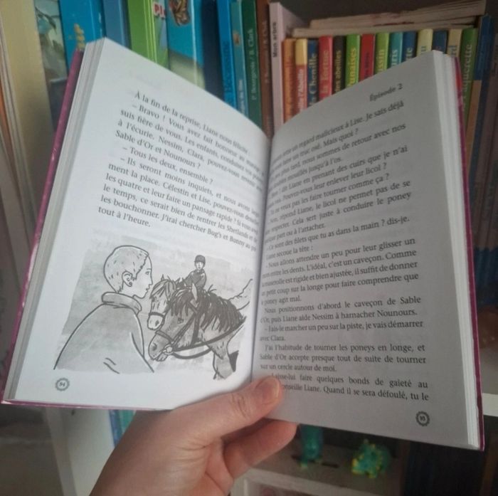 Clara et les poneys - des poneys à apprivoiser - photo numéro 3