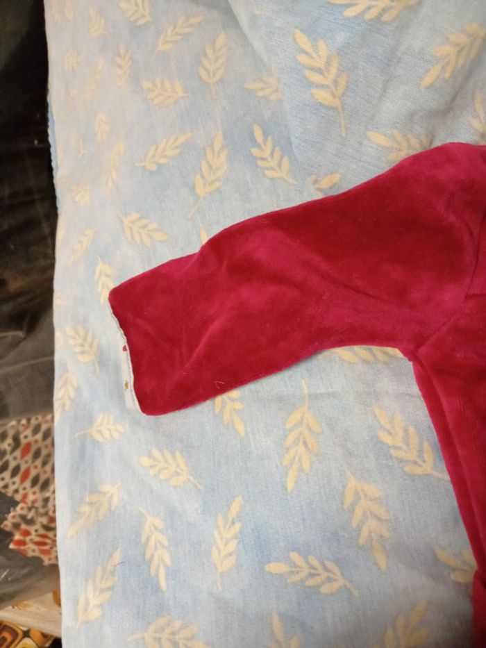 Grenouillère - photo numéro 2