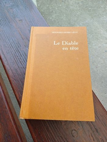 Livre le diable en tête