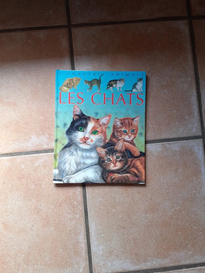 7 Grande imagerie - photo numéro 7