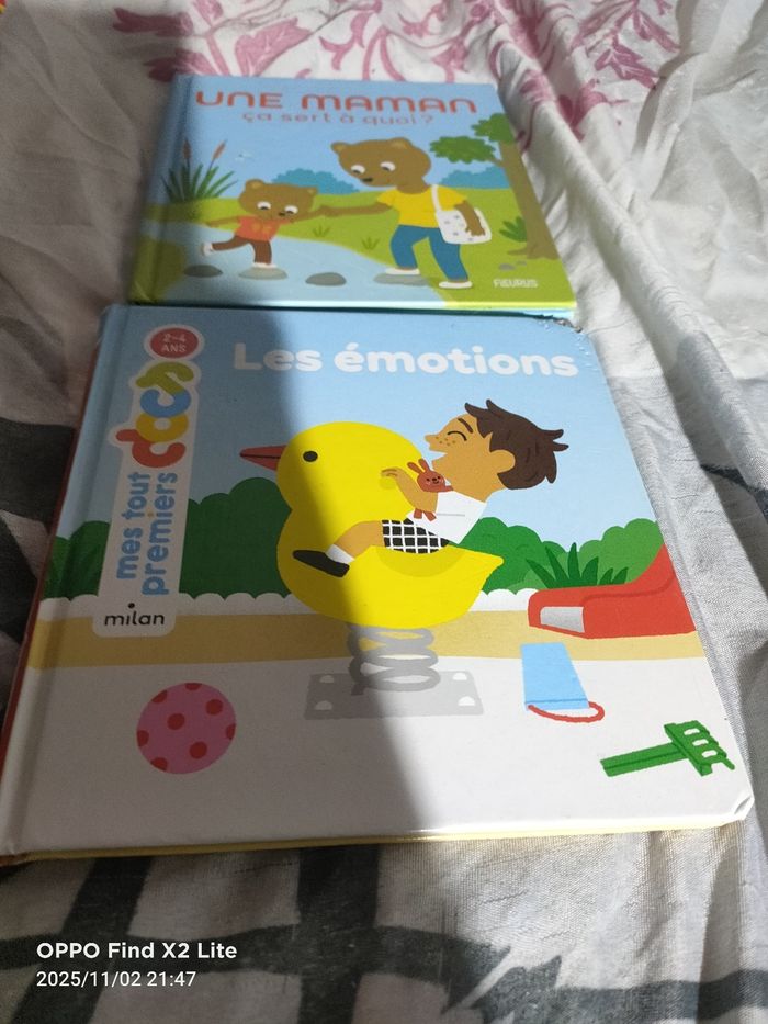 Lots livres - photo numéro 2