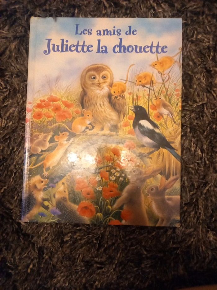 Livre"les amie de juliette la chouette"