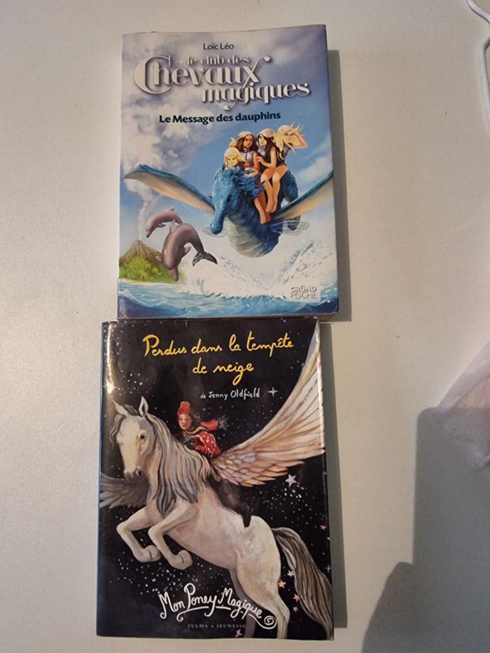 Lot 2 livres filles