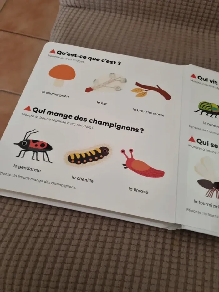 Livre "les petites bêtes " - photo numéro 15