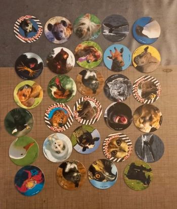 Lot pog animaux 🦁