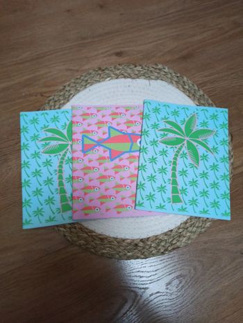 Lot de 3 cahiers