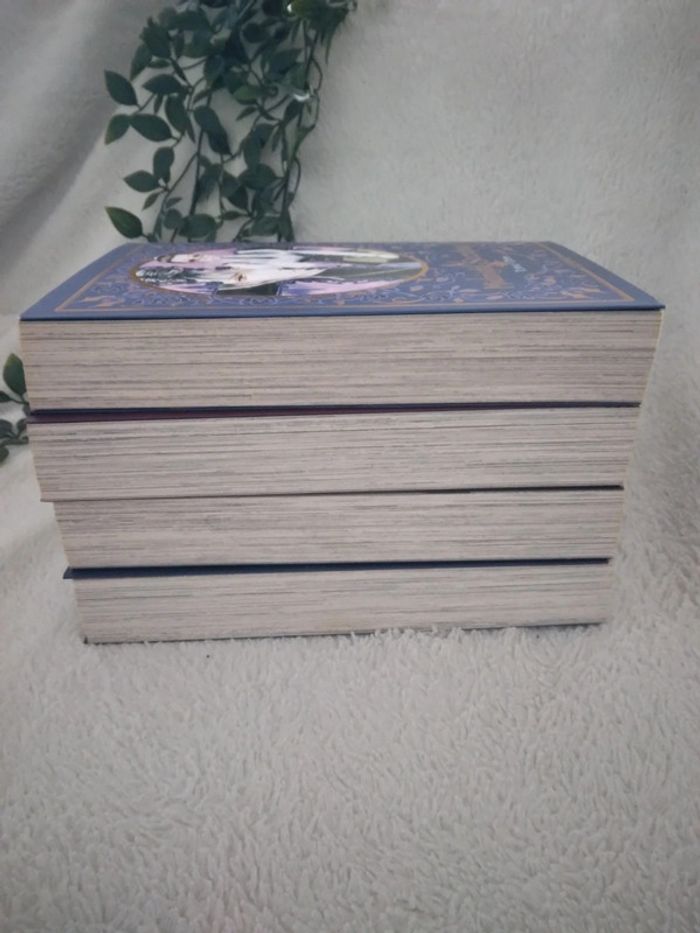 🌸Mangas shojo intégrale Midnight secretary 🌸 - photo numéro 4