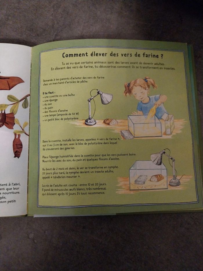 Kididoc. Les bébés animaux - photo numéro 5