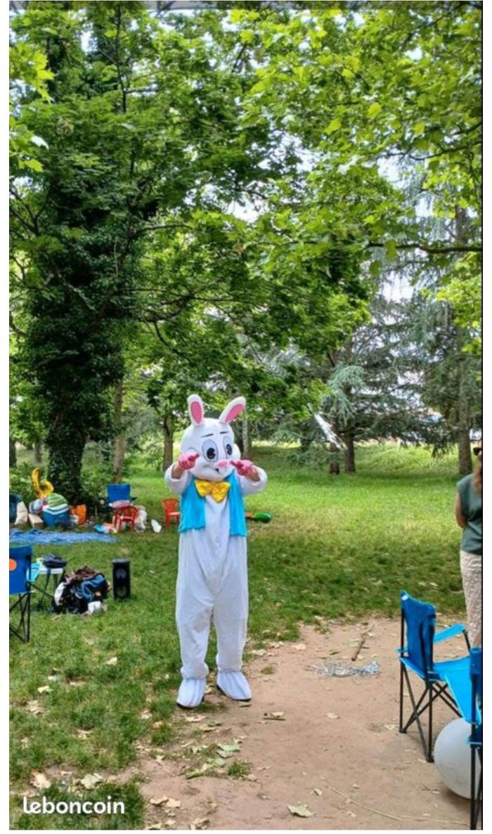 Costume de mascotte de lapin adulte, le déguisement, la tenue de lapin fêtes de festival - photo numéro 3