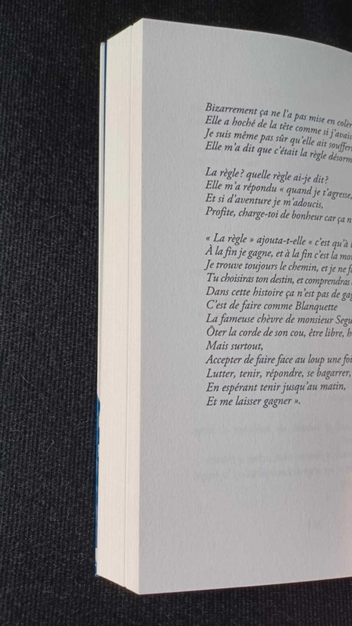 Les Correspondants - Grand Corps Malade et Ben Mazué - photo numéro 2