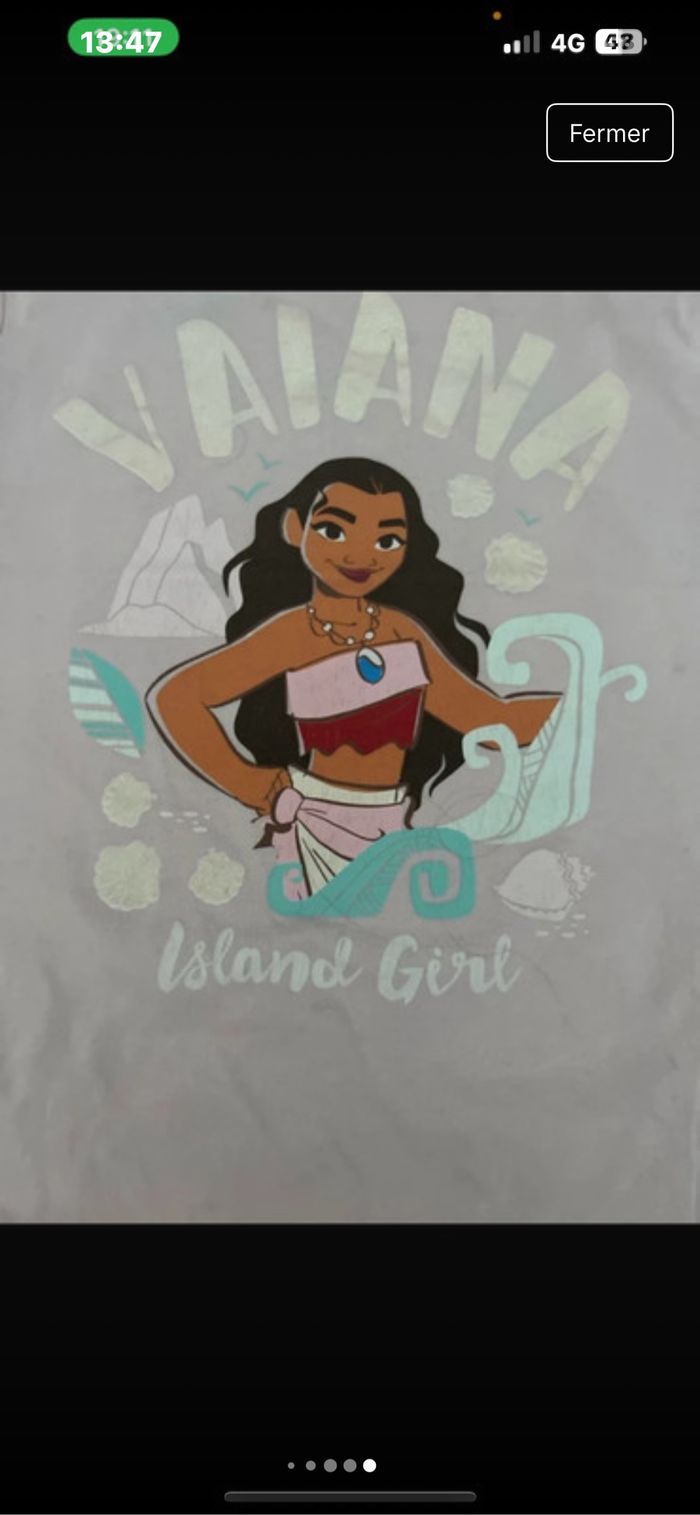 T-shirt vaina - photo numéro 2