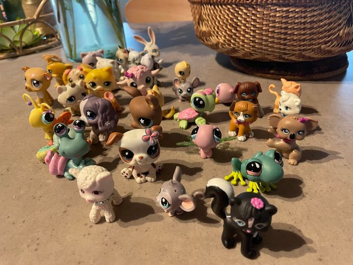 Lot de pet shop - photo numéro 2