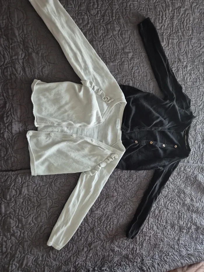 Gilets - photo numéro 2