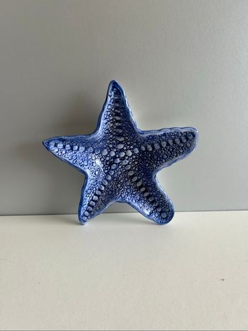 Coupelle étoile de mer céramique – 20 × 20 cm