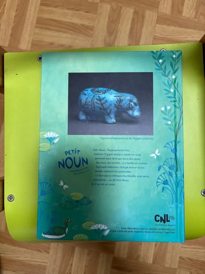 Petit noun - photo numéro 2