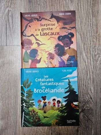 Livres Merveilles de France 🌲
